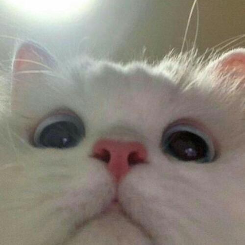 สมาชิกหมายเลข 5547030