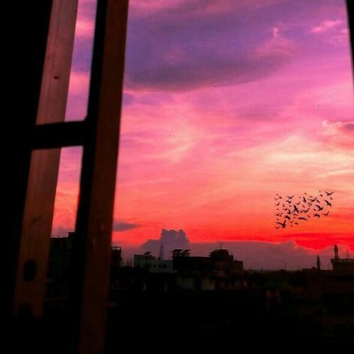 สมาชิกหมายเลข 5547237