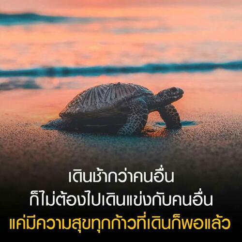 สมาชิกหมายเลข 5547335