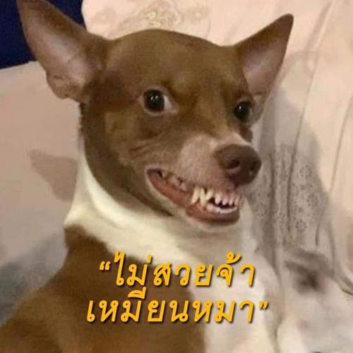 สมาชิกหมายเลข 6100549