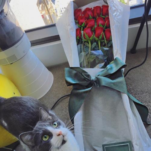 สมาชิกหมายเลข 6100594