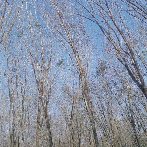 สมาชิกหมายเลข 6724190