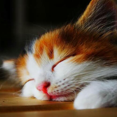 สมาชิกหมายเลข 6724628