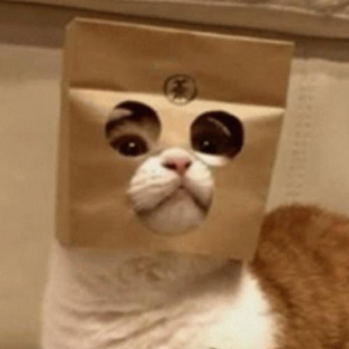 สมาชิกหมายเลข 7483712