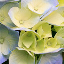 รักมากแค่ไหน เธอรู้ดี (เนอะ)