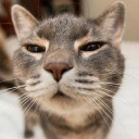 สมาชิกหมายเลข 2210702