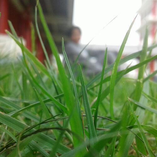 สมาชิกหมายเลข 4760910