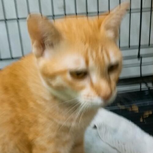 สมาชิกหมายเลข 981090