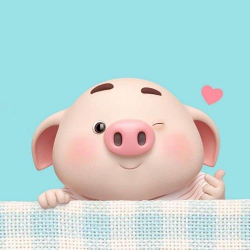 สมาชิกหมายเลข 5146968