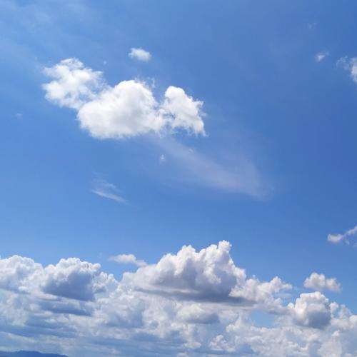 สมาชิกหมายเลข 1539580