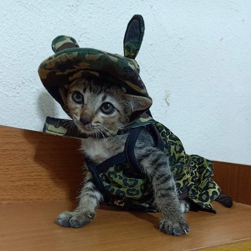 สมาชิกหมายเลข 5231293