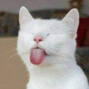 สมาชิกหมายเลข 5547379