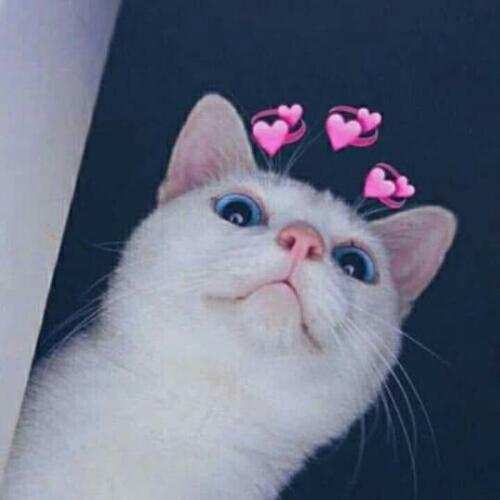 สมาชิกหมายเลข 5547553