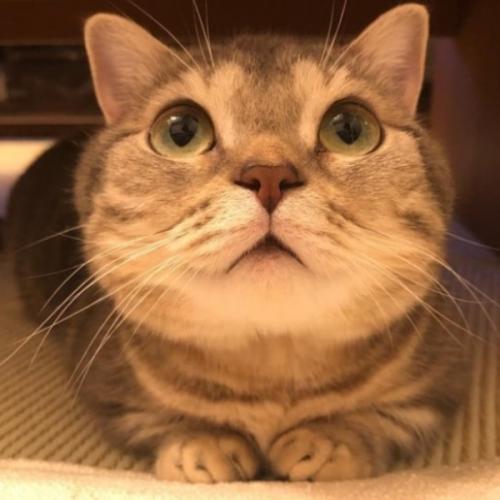 สมาชิกหมายเลข 6101124