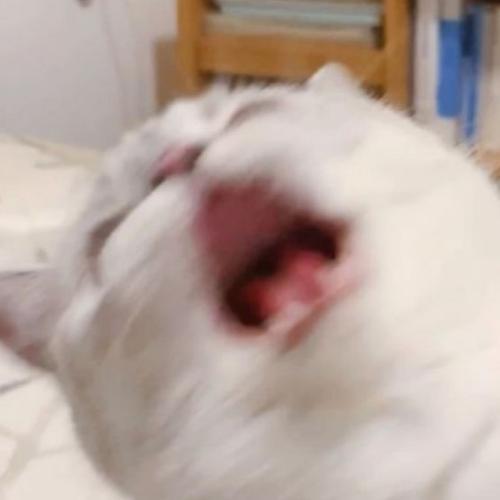 สมาชิกหมายเลข 6101338