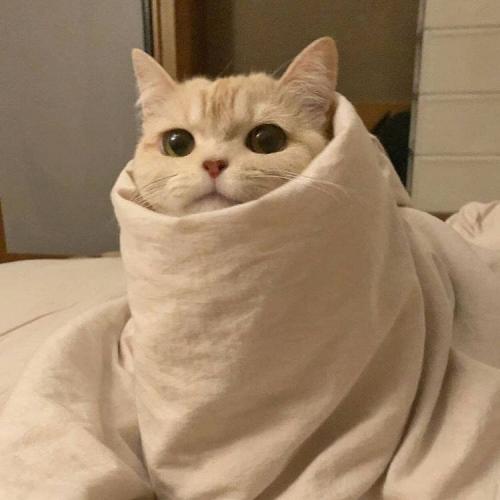 สมาชิกหมายเลข 6671582