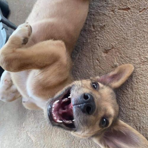 สมาชิกหมายเลข 6724820