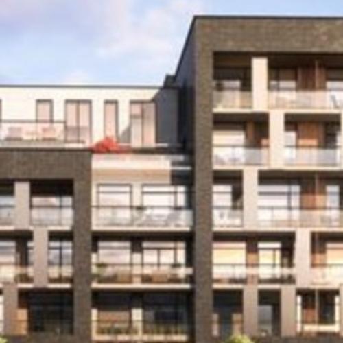 สมาชิกหมายเลข 8385305