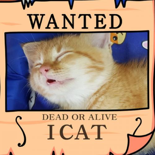 สมาชิกหมายเลข 3462993