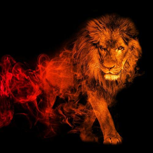 สมาชิกหมายเลข 4770678