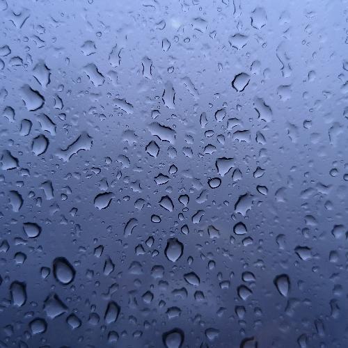 สมาชิกหมายเลข 4770894