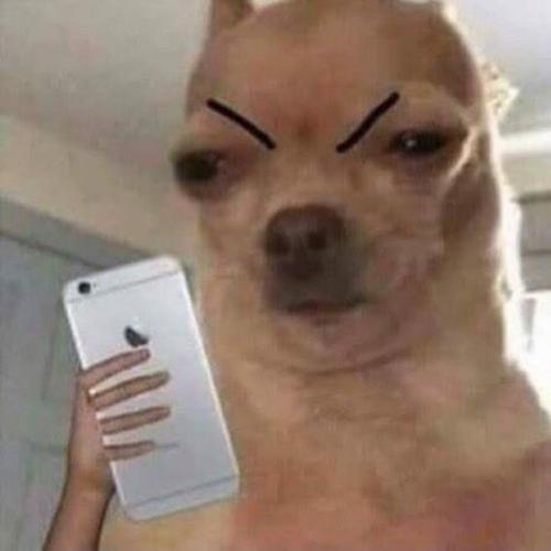 สมาชิกหมายเลข 4688041