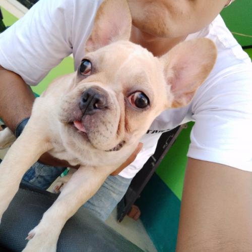 สมาชิกหมายเลข 5134590