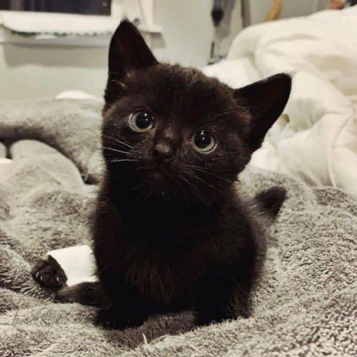 สมาชิกหมายเลข 2868035