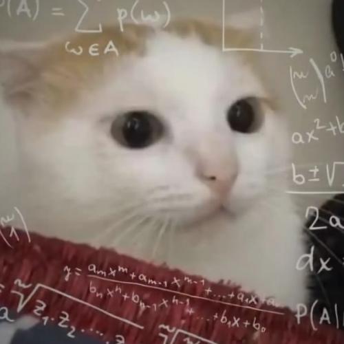 สมาชิกหมายเลข 8384861