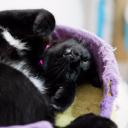 สมาชิกหมายเลข 3322580