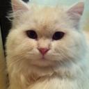 สมาชิกหมายเลข 3944950