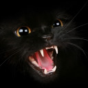 สมาชิกหมายเลข 4413923