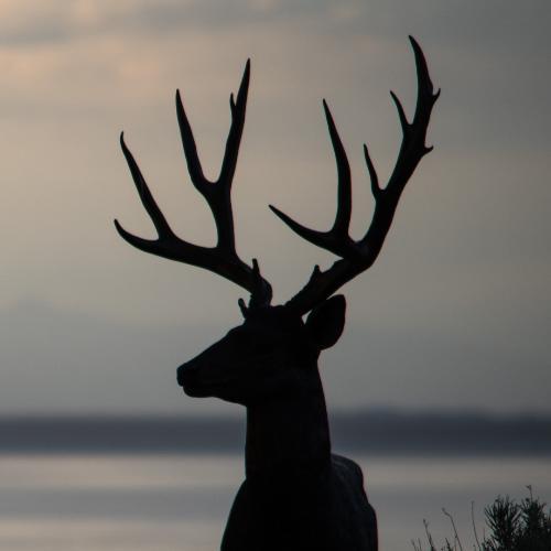 สมาชิกหมายเลข 4771121