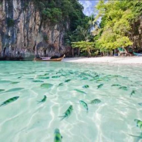 สมาชิกหมายเลข 5446868