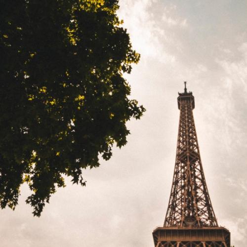 สมาชิกหมายเลข 6084036