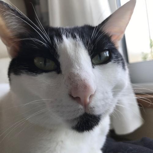 สมาชิกหมายเลข 2708385