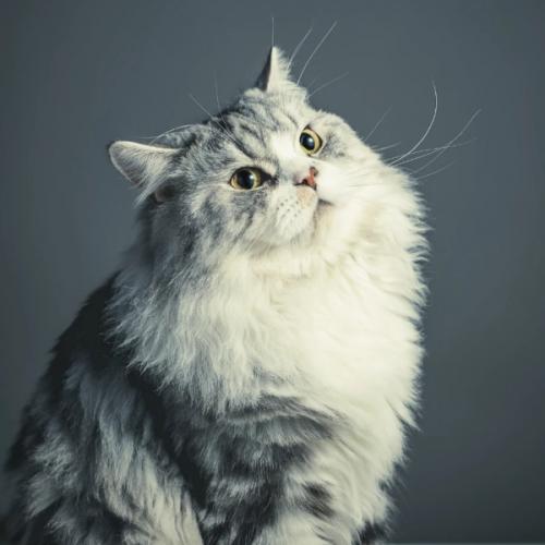 สมาชิกหมายเลข 6013495