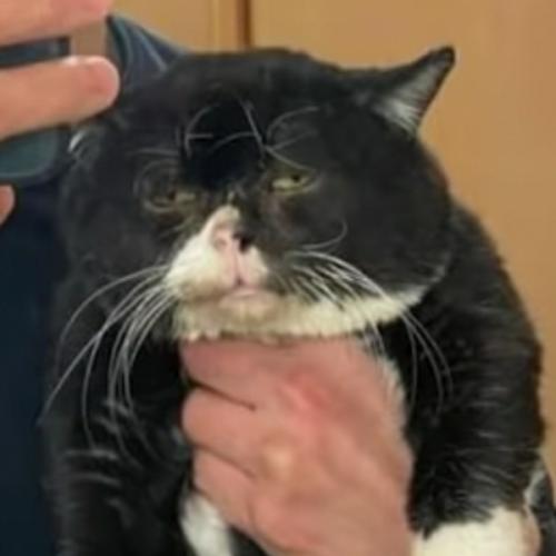 สมาชิกหมายเลข 6415954