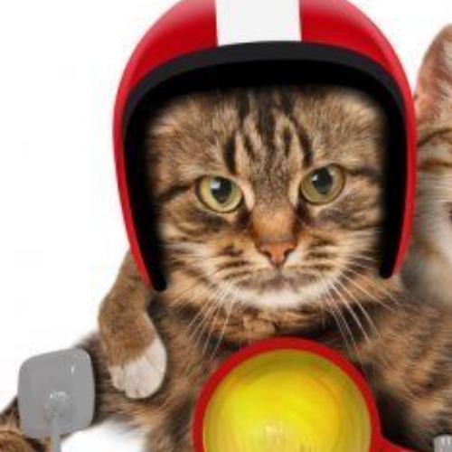 สมาชิกหมายเลข 6726687