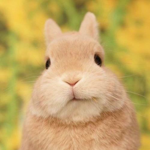 สมาชิกหมายเลข 6726761