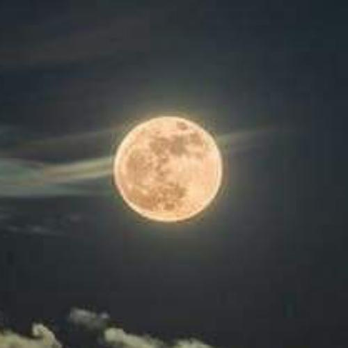 สมาชิกหมายเลข 7344373