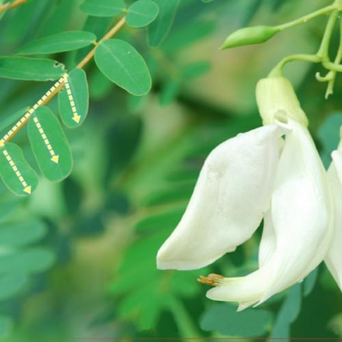 สมาชิกหมายเลข 7427922