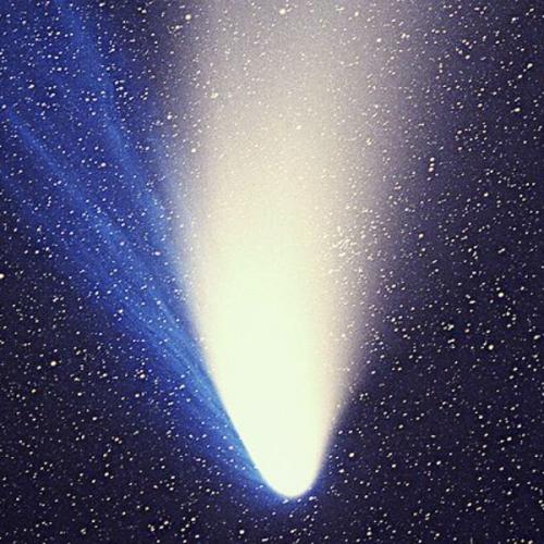 สมาชิกหมายเลข 7436373