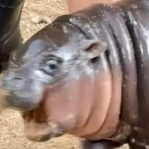 สมาชิกหมายเลข 6167096