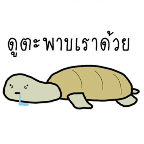 สมาชิกหมายเลข 8351495