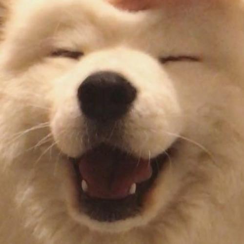 สมาชิกหมายเลข 8364709