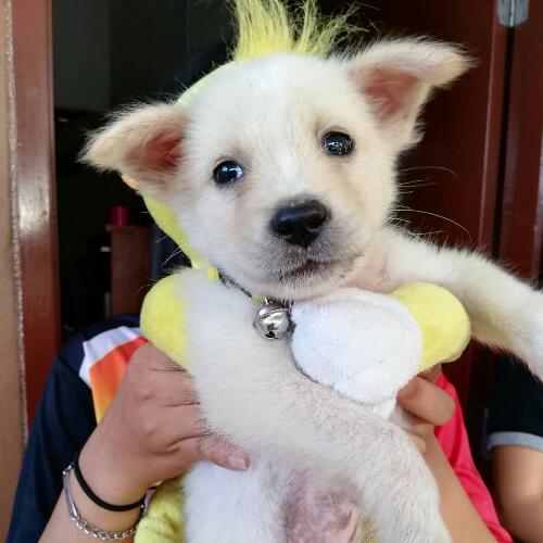 สมาชิกหมายเลข 4522369