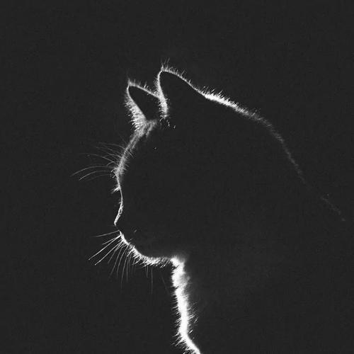 สมาชิกหมายเลข 5133055