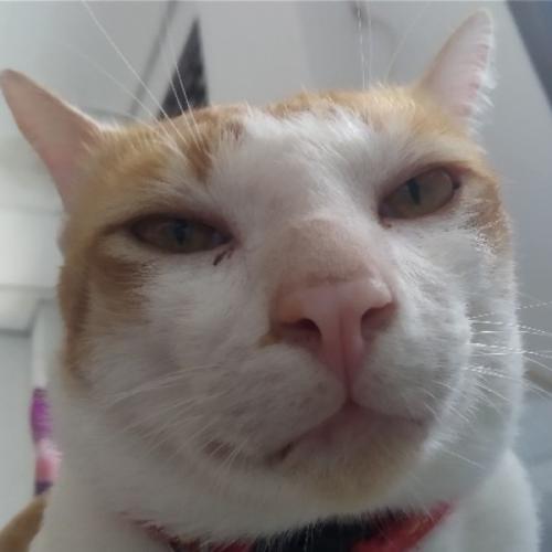 สมาชิกหมายเลข 2447923