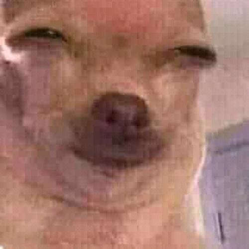 สมาชิกหมายเลข 6102943